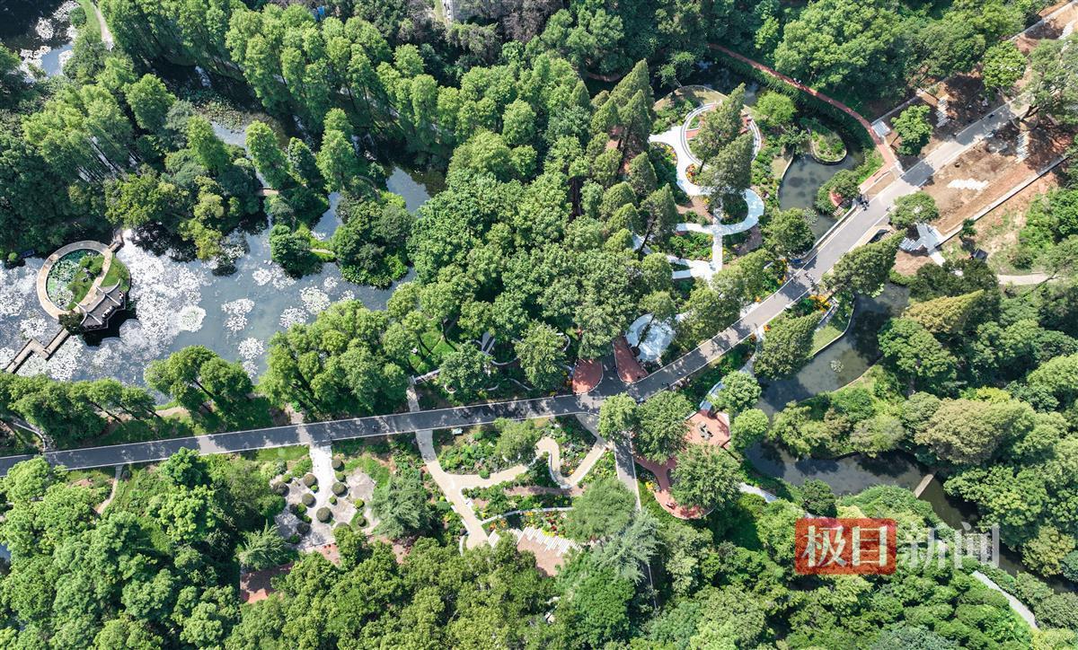 mgm下载